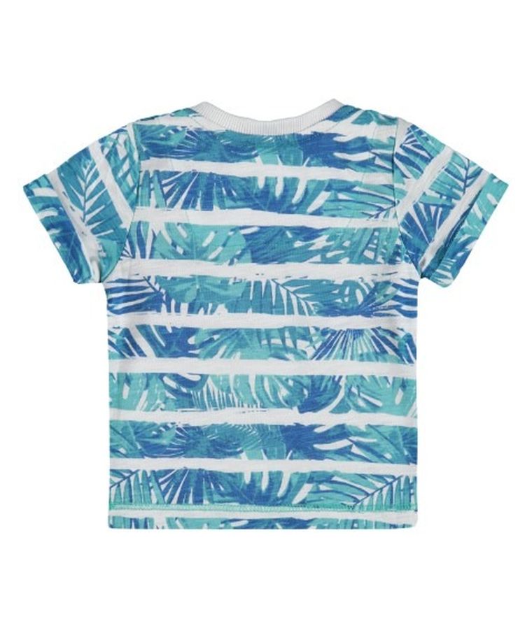 T-shirt chłopięcy, mix, Kanz