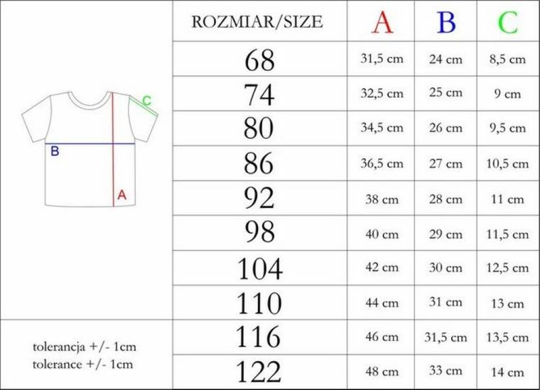 T-shirt chłopięcy, mix, Nicol