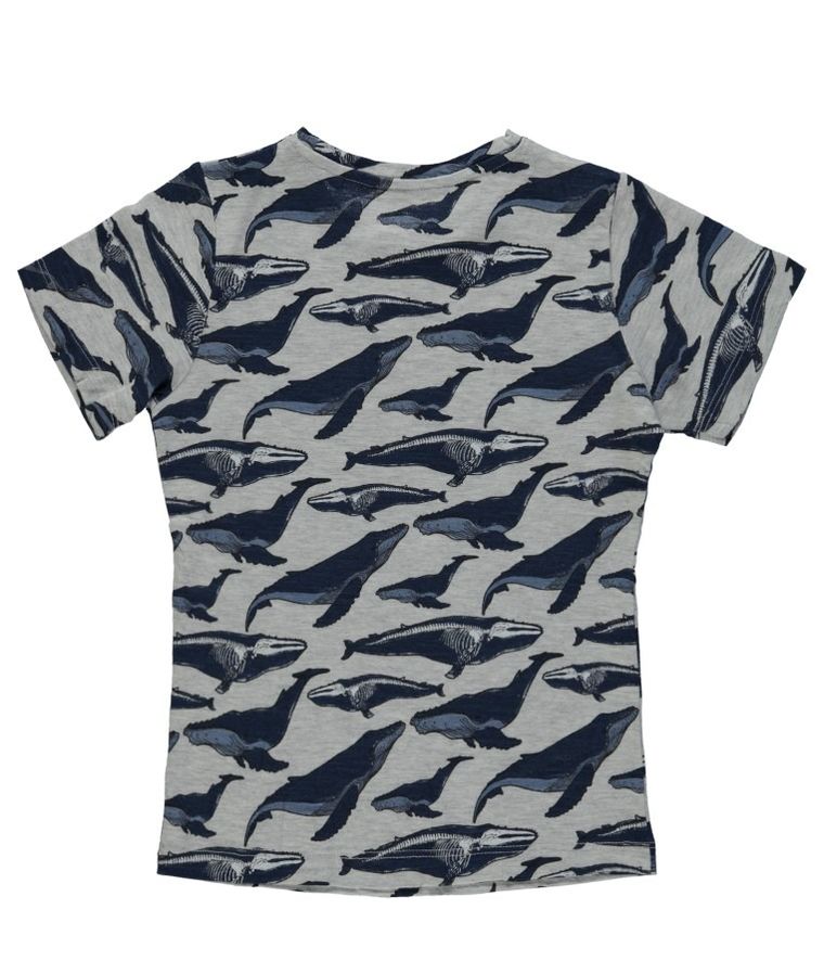 T-shirt chłopięcy, mix, Tom Tailor