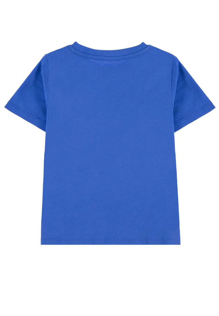 T-shirt chłopięcy, niebieski, Tom Tailor