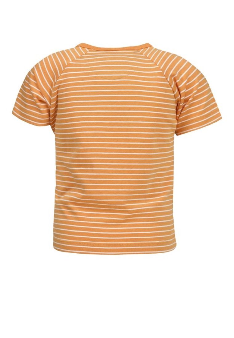 T-shirt chłopięcy, pomarańczowy, Lief