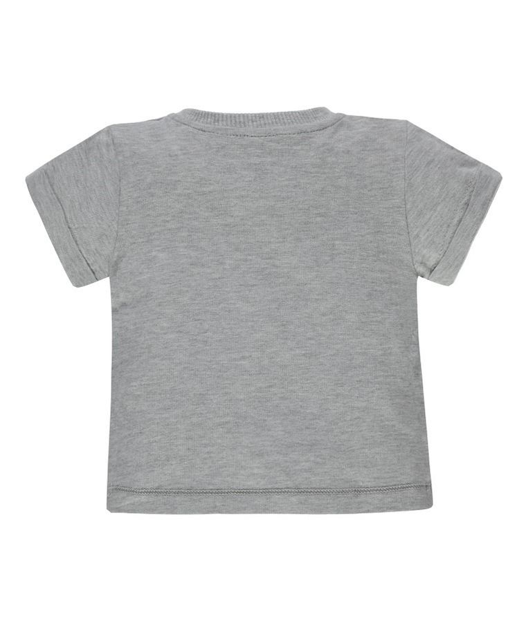 T-shirt chłopięcy, szary, Kanz