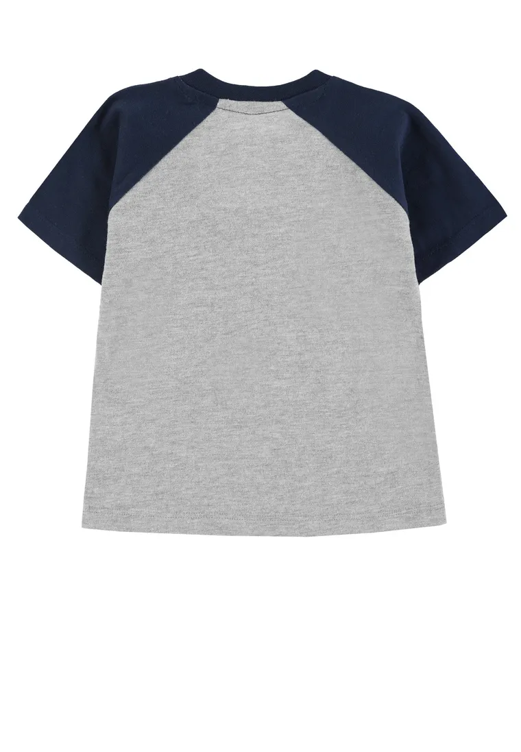 T-shirt chłopięcy, szary, Tom Tailor