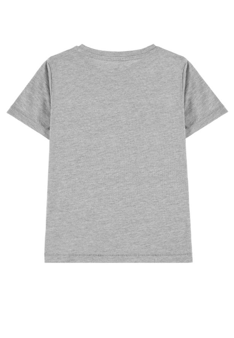 T-shirt chłopięcy, szary, Tom Tailor