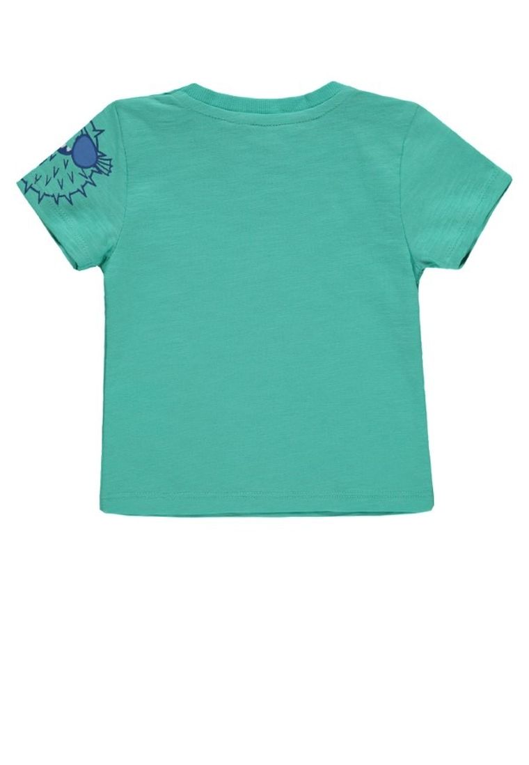 T-shirt chłopięcy, turkusowy, Kanz