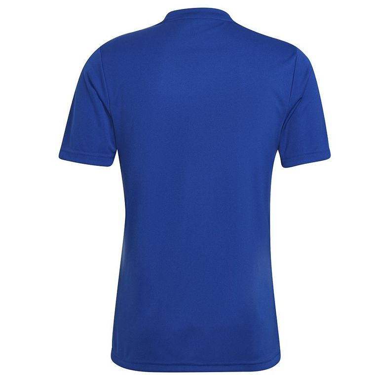 T-shirt męski, niebieski, Adidas Entrada 22 GFX JSY