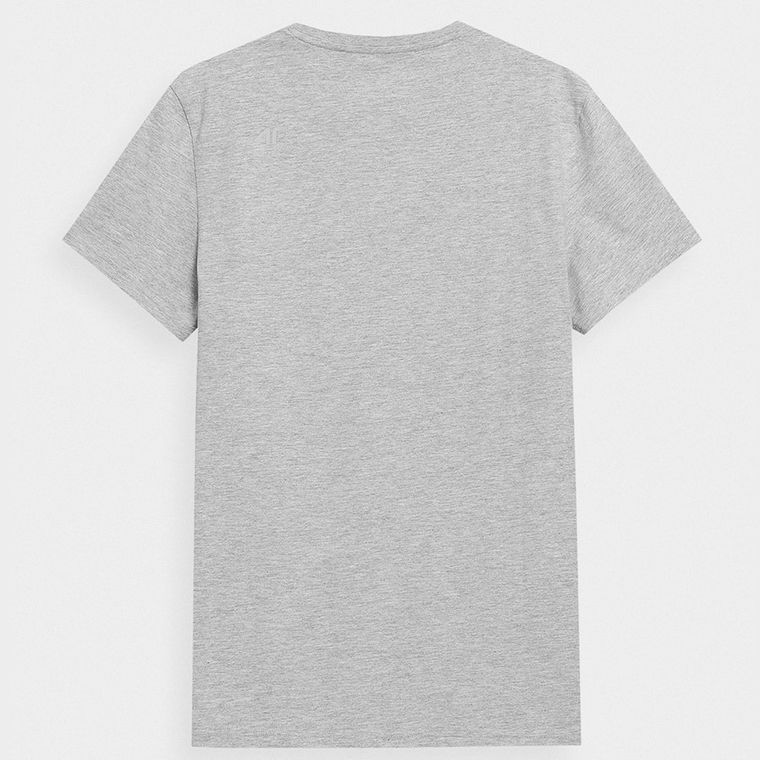T-shirt męski, szary, 4F