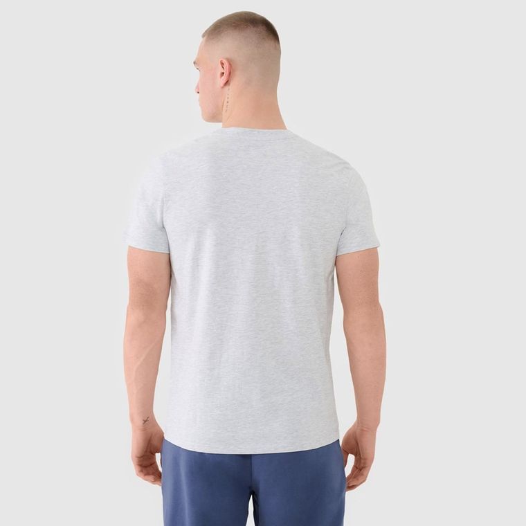 T-shirt męski, szary, 4F