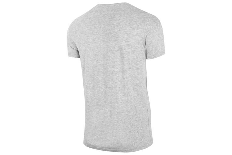 T-shirt męski, szary, 4F