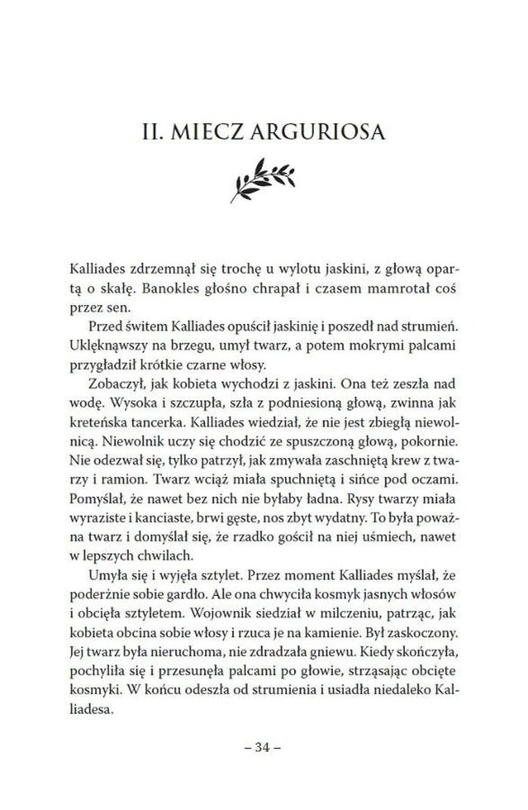 Tarcza gromu. Cykl Troja. Tom 2