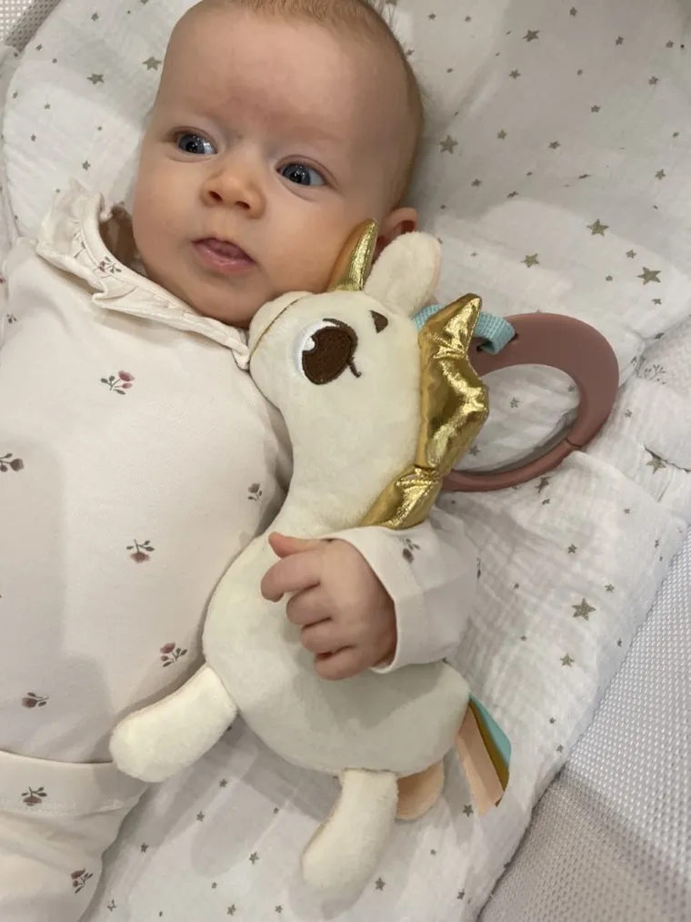 Tiny Love, Kraina Jednorożca, Tiny Smarts, zawieszka z pozytywką