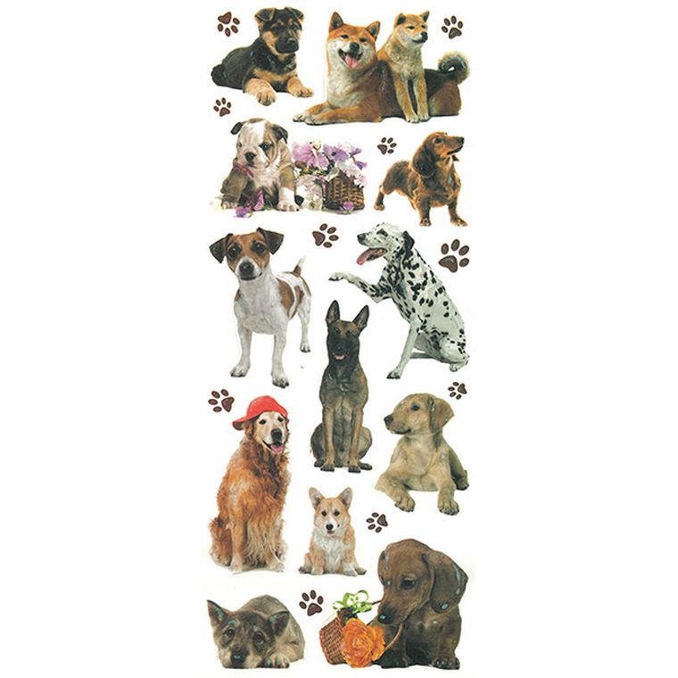 Titanum, Craft-fun Series, naklejki, psy, 22 szt.
