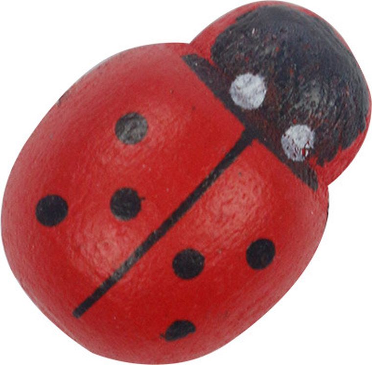 Titanum, dekoracje samoprzylepne 3D, biedronki, 14-19 mm, 24 szt.