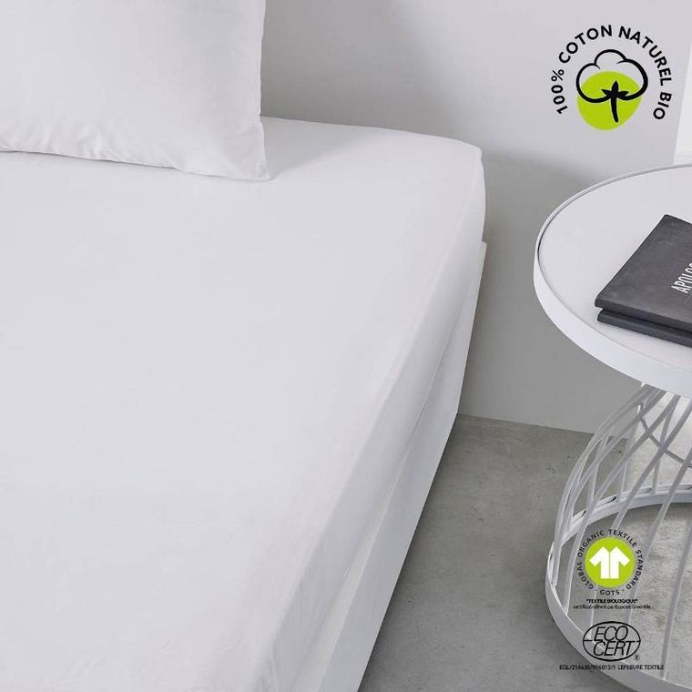 Today, prześcieradło z gumką Plain, bawełniane, 140-200 cm