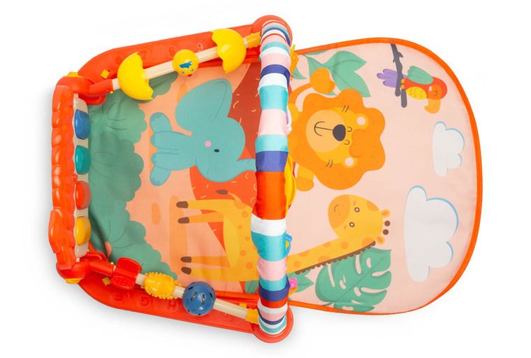 Toyz, Zoo, mata edukacyjna, pomarańczowa