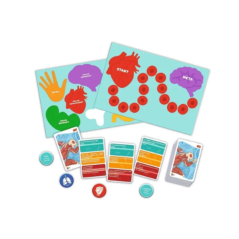 Trefl, Mistrz Wiedzy, Ciało człowieka, gra edukacyjna