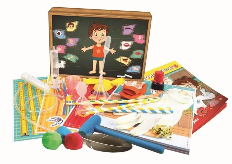 Trefl, Science4You, Ciało człowieka, duży zestaw naukowy