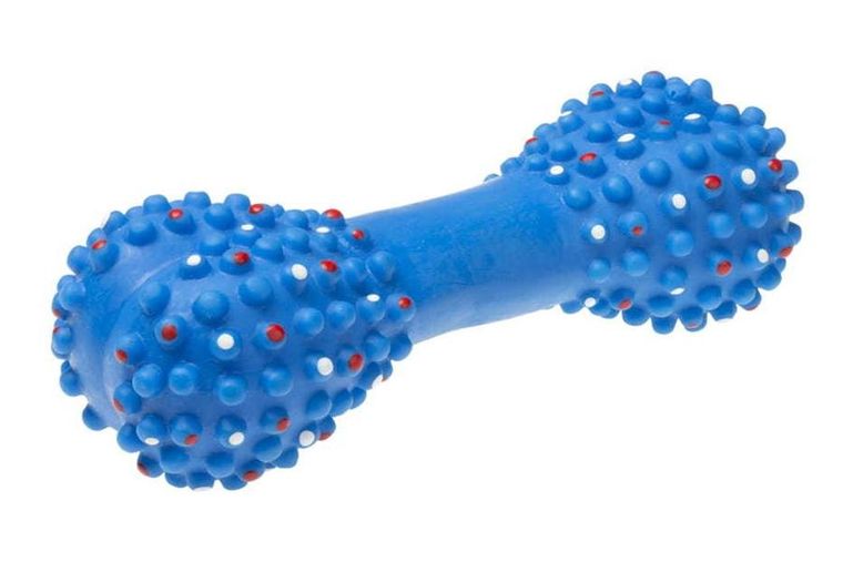 Tullo, kość z kolcami, zabawka piszcząca dla psa