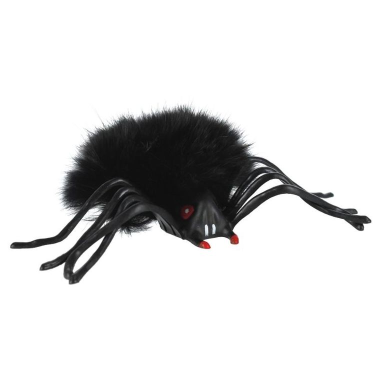 Tullo, skaczący pająk, czarny