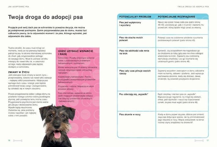 Twój pies ze schroniska