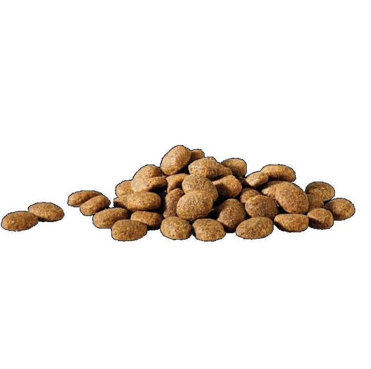 Versele Laga, Happy Life Essential, sucha karma dla psa, kurczak, 20 kg