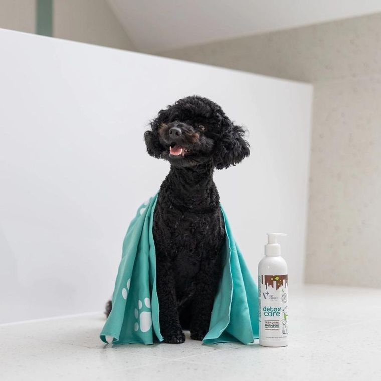 Vetexpert, Detox Care Deep Dark, szampon, 250 ml