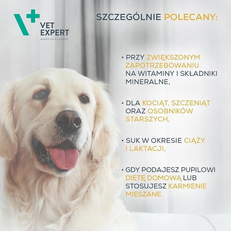 Vetexpert, Multivitamin, suplement dla psa, 30 kapsułek