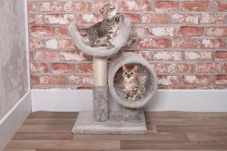 Victoria Sport, drapak dla kota z dwoma legowiskami, 50 cm