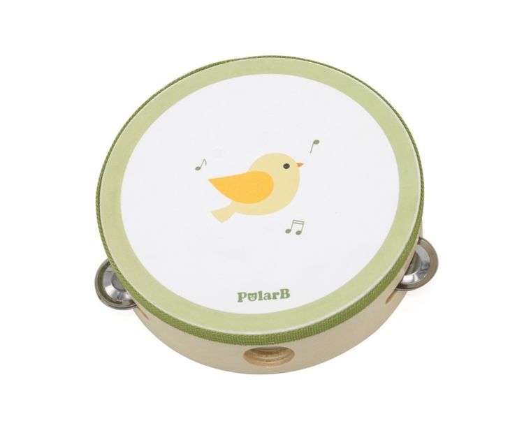 Viga, PolarB, zestaw instrumentów muzycznch, ptak