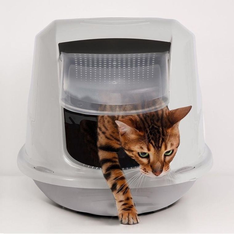 Vilde, kuweta dla zwierząt z filtrem, szara, 45-35-33 cm