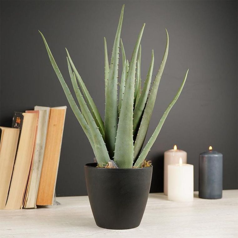 Vilde, sztuczna roślina w doniczce, Aloes, 42 cm