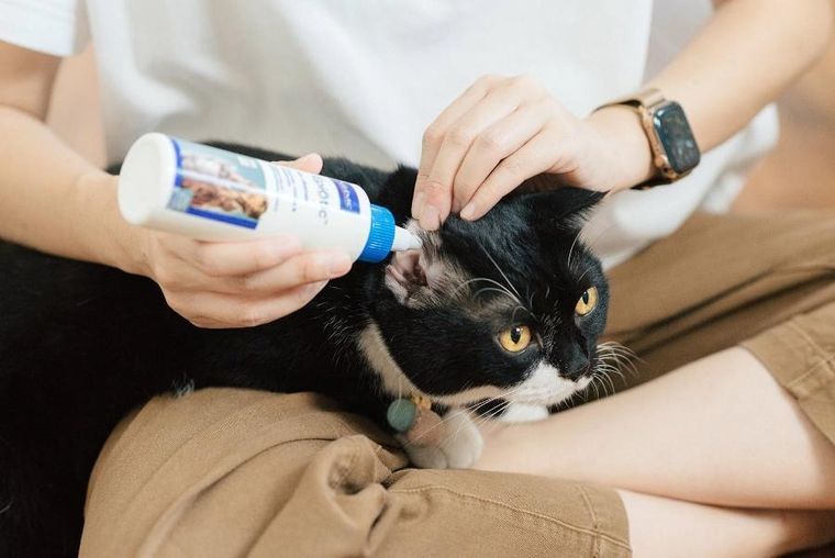Virbac, Epi-Otic, płyn do pielęgnacji uszu, dla psa i kota, 60 ml