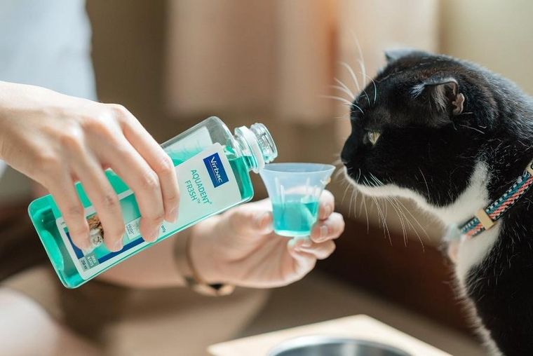 Virbac, Vet Aquadent, płyn do higieny jamy ustnej, 500 ml
