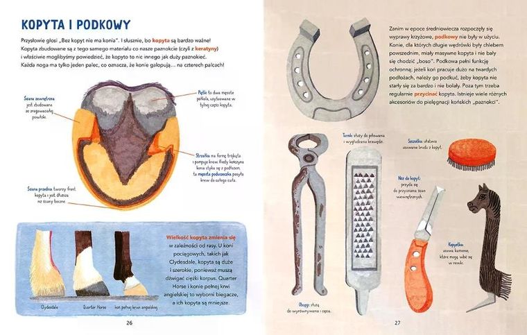 W galopie! Ilustrowana księga koni