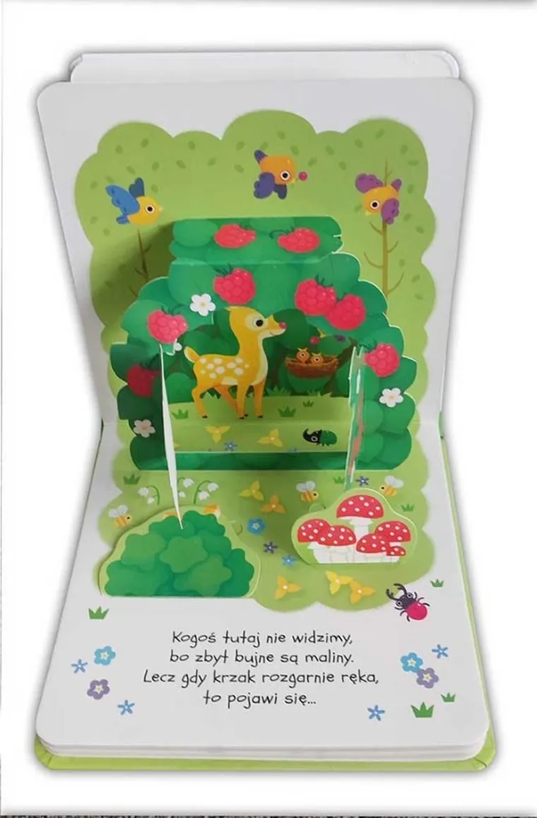 W lesie. Otwórz i szukaj! Książeczka rozkładanka