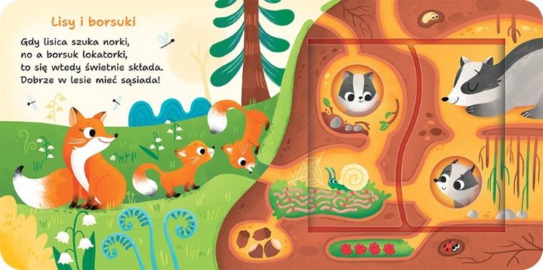 W lesie. Podwójne okienka Otwórz i sprawdź!