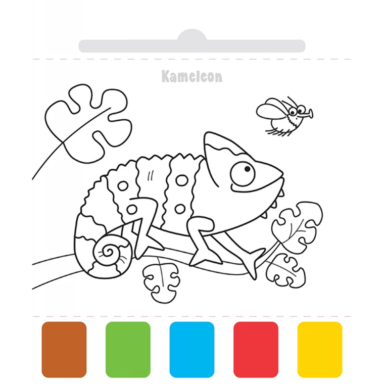 W Zoo. Malowanka. Użyj wody, zbudź kolory