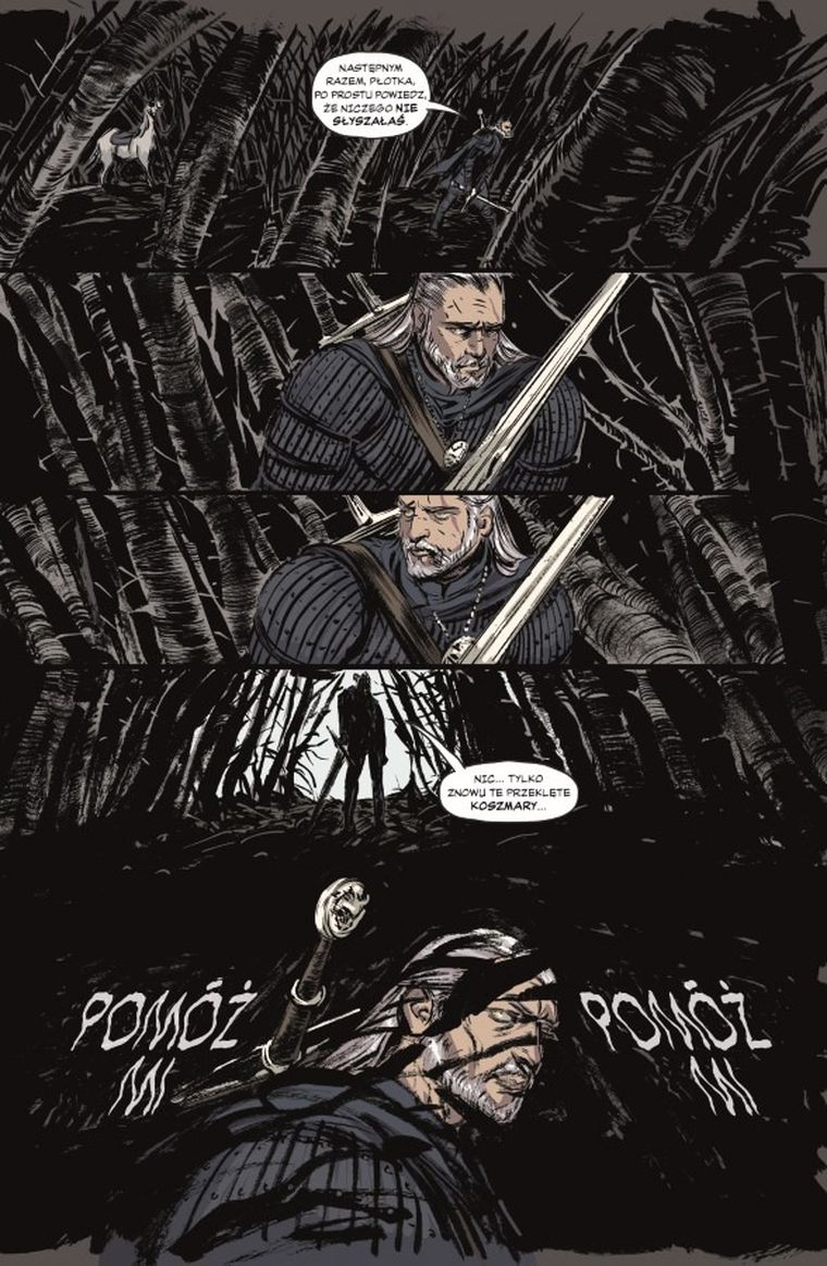 Wiedźmin. Tom 6. Wiedźmi lament