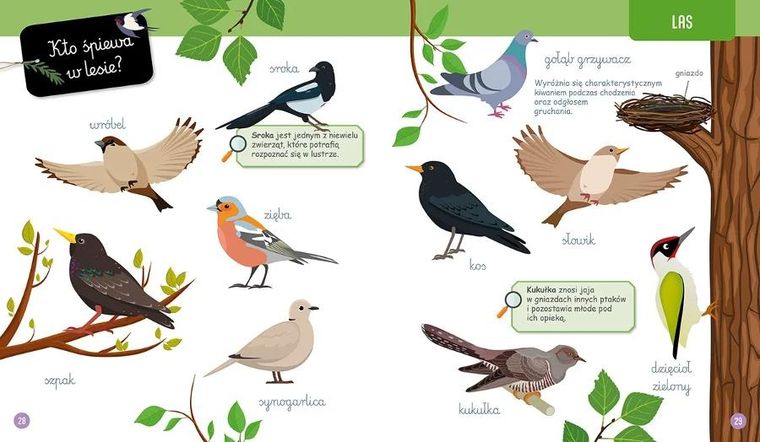 Wielka księga przyrody