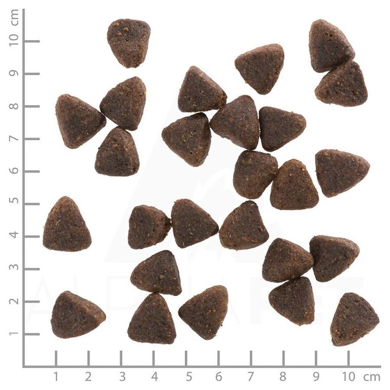 Wolfsblut, Jack Rabbit, karma sucha dla psów, 12,5 kg