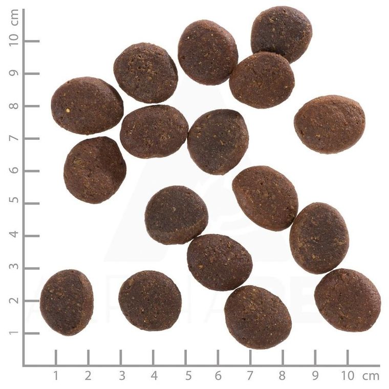 Wolfsblut, Polar Night, karma sucha dla psów, 12,5 kg