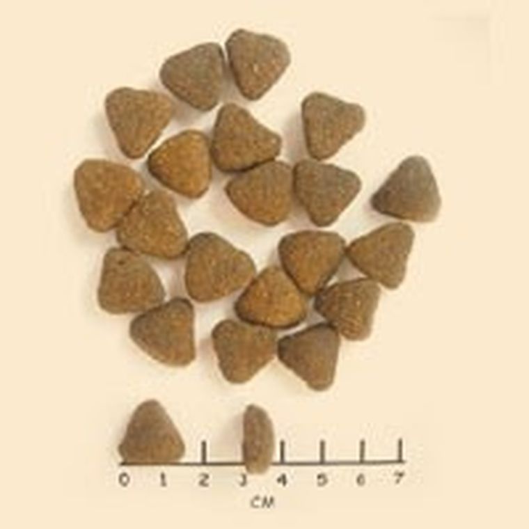 Wolfsblut, Wide Plain, Adult, sucha karma dla psa, horse/sweet potato, 2kg