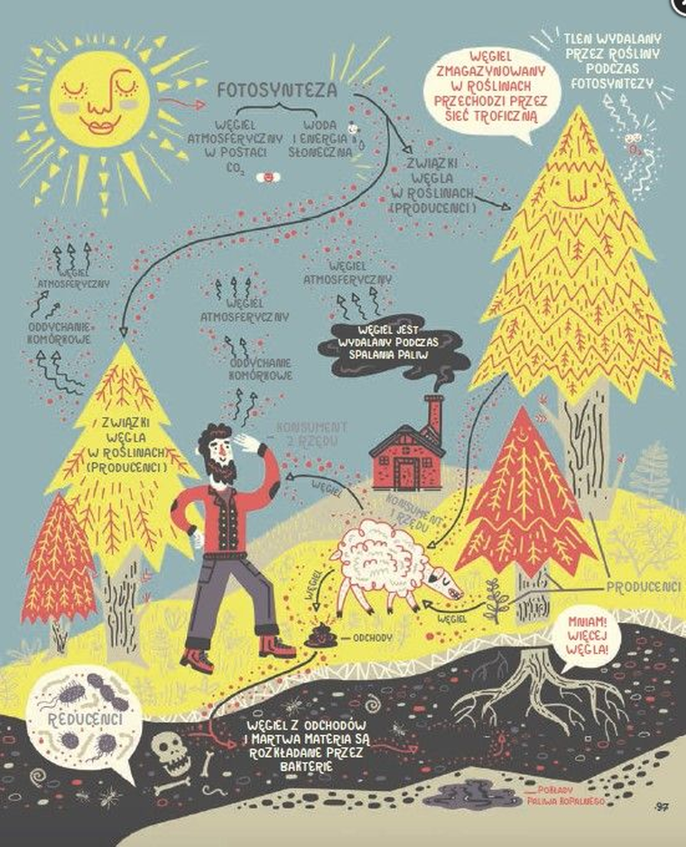 Wspaniała planeta Ziemia i jej przyroda