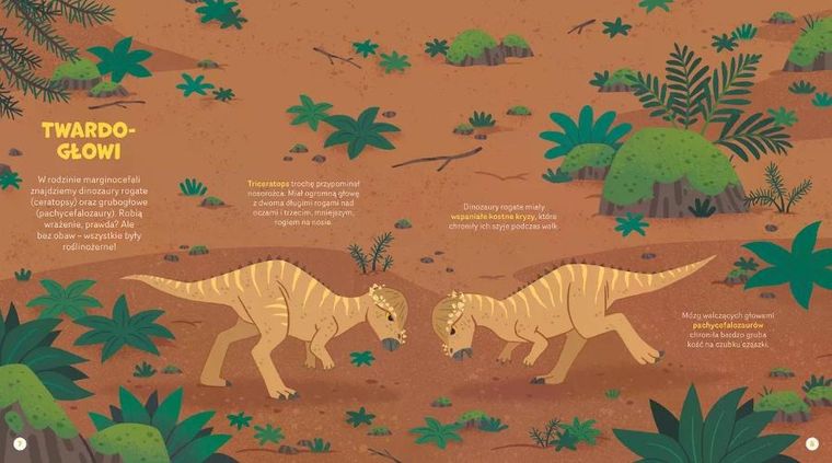 Wspaniałe dinozaury. Zakręć, odkryj, przeczytaj!