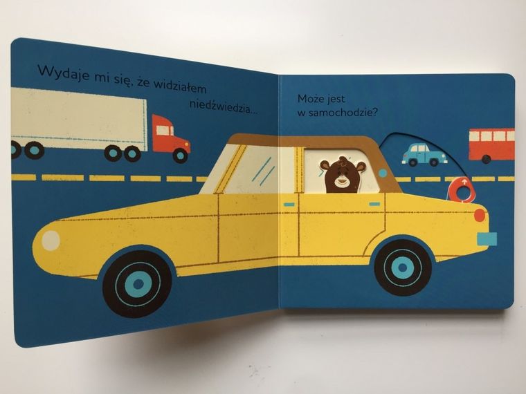 Wydaje mi się, że widziałem… niedźwiedzia!