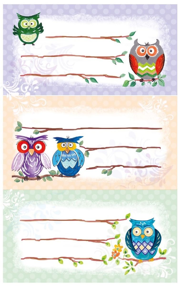 Z-Design, naklejki na książki i zeszyty, sowa