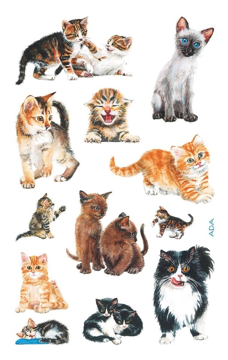 Z-Design, naklejki papierowe, kotki