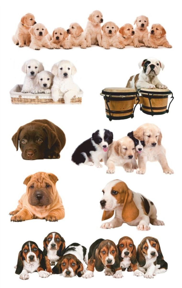 Z-Design, naklejki papierowe, szczeniaczki