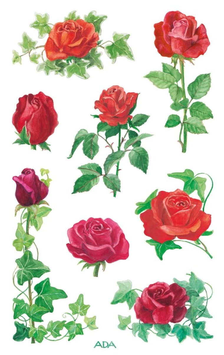 Z-Design, naklejki z kwiatami, róża