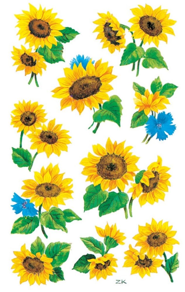 Z-Design, naklejki z kwiatami, słonecznik